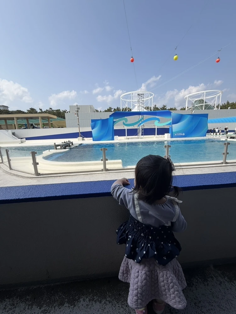 【前編】子連れで鴨川シーワールド完全ガイド｜1歳・3歳でも楽しめる？ショー攻略とリアル体験レポ_3