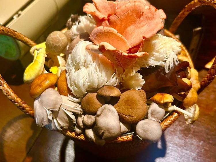 華やかに盛り付けられた12種類のきのこのブーケ、花束のよう