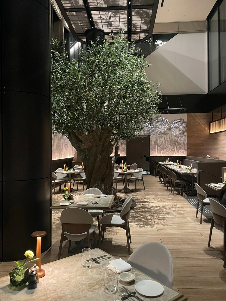 【お祝いにおすすめ】デザートプレートが可愛すぎる【ジャヌ東京】_2