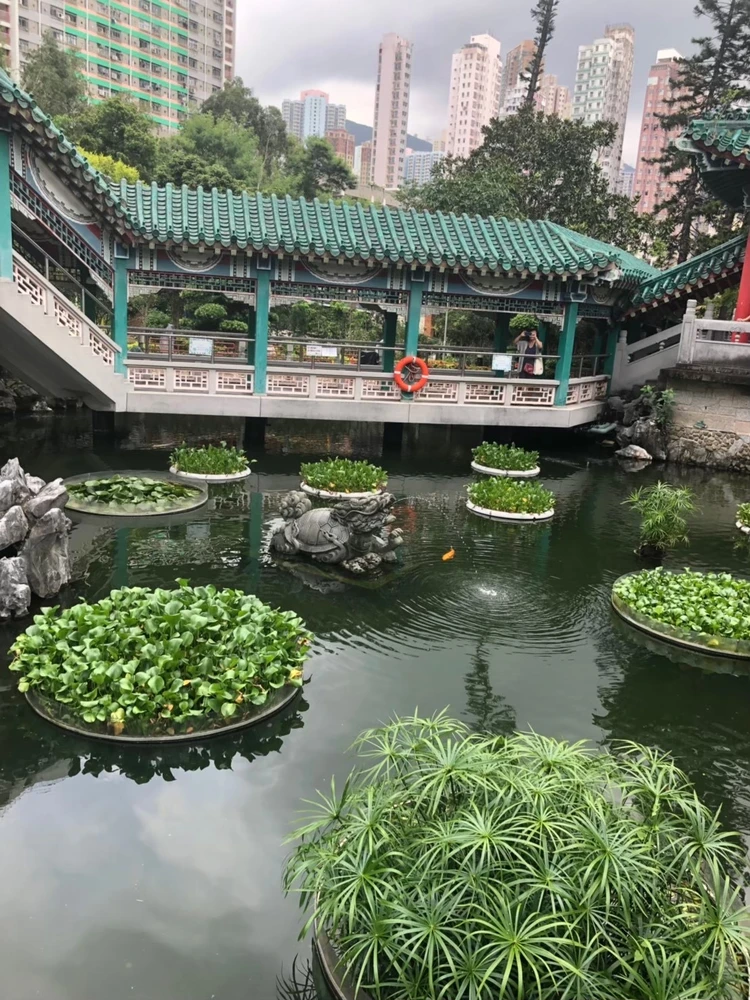 2026年に行くべき香港パワースポット2選！海辺の「天后廟」と占いの聖地「黄大仙」_12