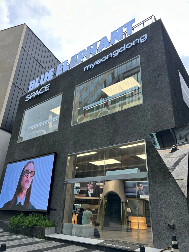 韓国ブランドBLUE ELEPHANTの褒められサングラス_3