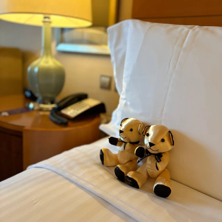 海外旅行の穴場🇲🇴マカオがおすすめな理由_7_2