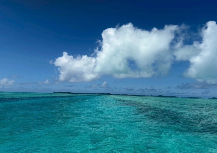 【パラオ旅行⑤】パラオで楽しかったアクテビティ_3