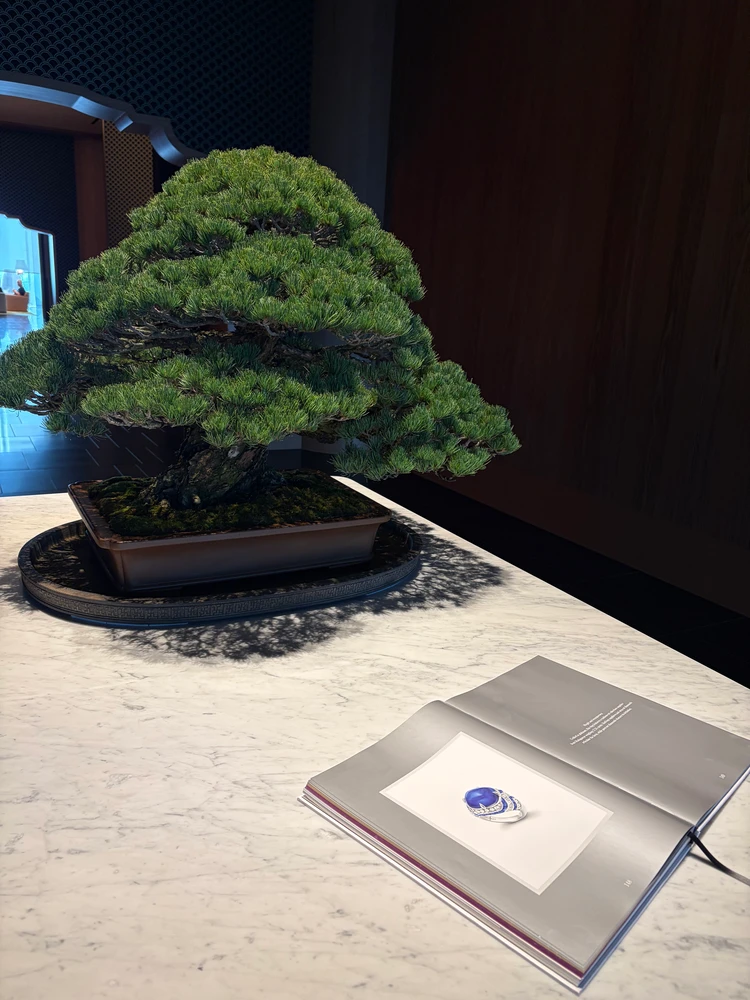 東京　アフタヌーンティー　ブルガリホテル