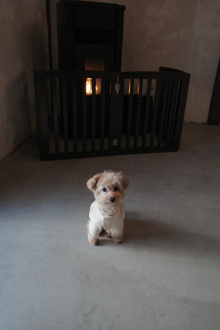 愛犬と泊まれる★子連れにもおすすめの宿③山梨 ~古民家宿るうふ~ #旅行部_4