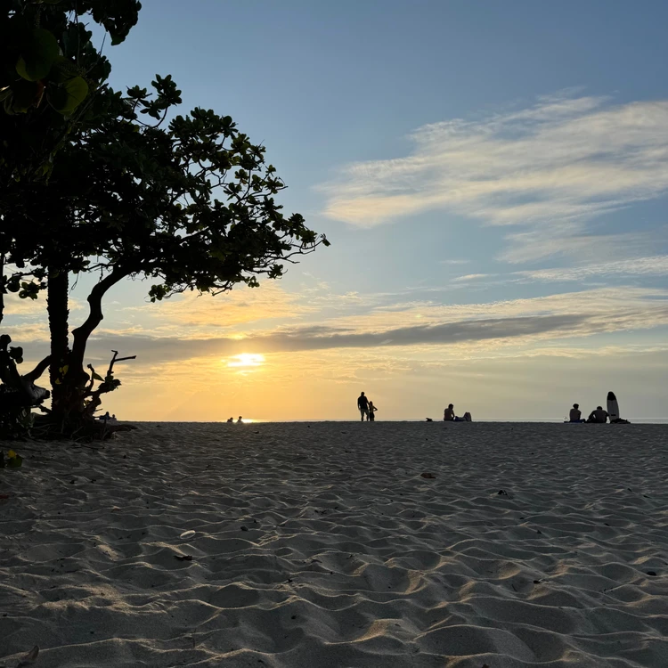 【フォトギャラリー】バイラがお試し！無印良品のおすすめ品まとめ_0