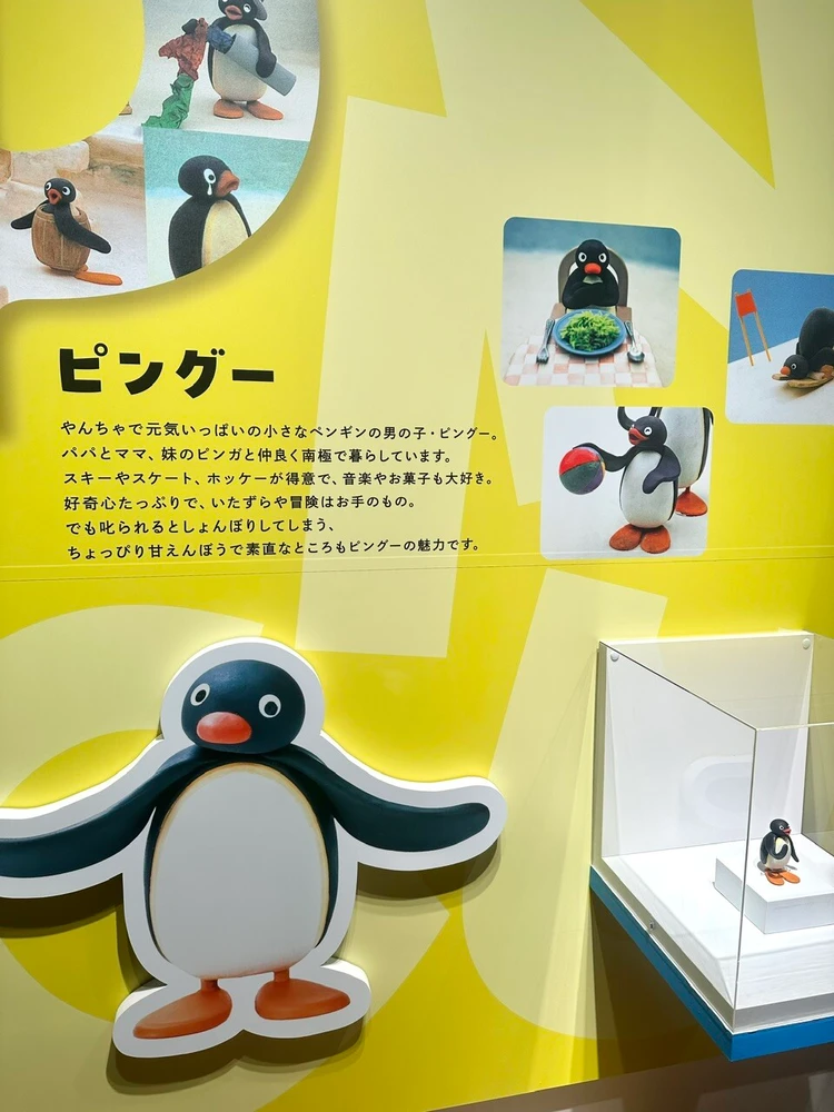 展示
