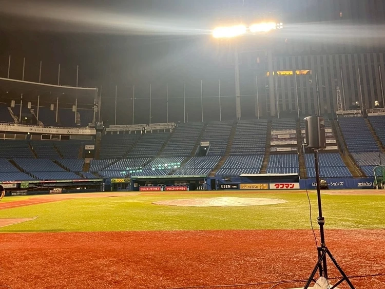 明治神宮スタジアムのグラウンドから見た客席。