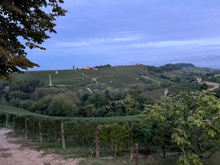 一生に一度は訪れたい。イタリアワインの贅沢旅【バローロ編】_5_1