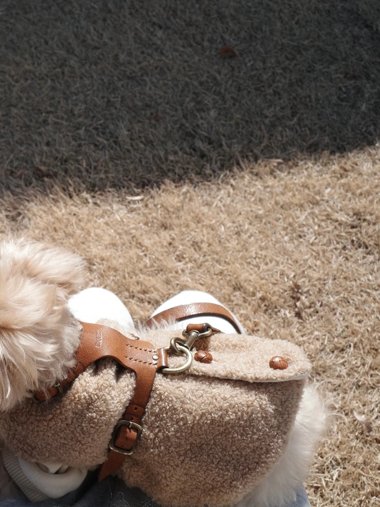 愛犬と泊まれる★子連れにもおすすめの宿③山梨 ~古民家宿るうふ~ #旅行部_22