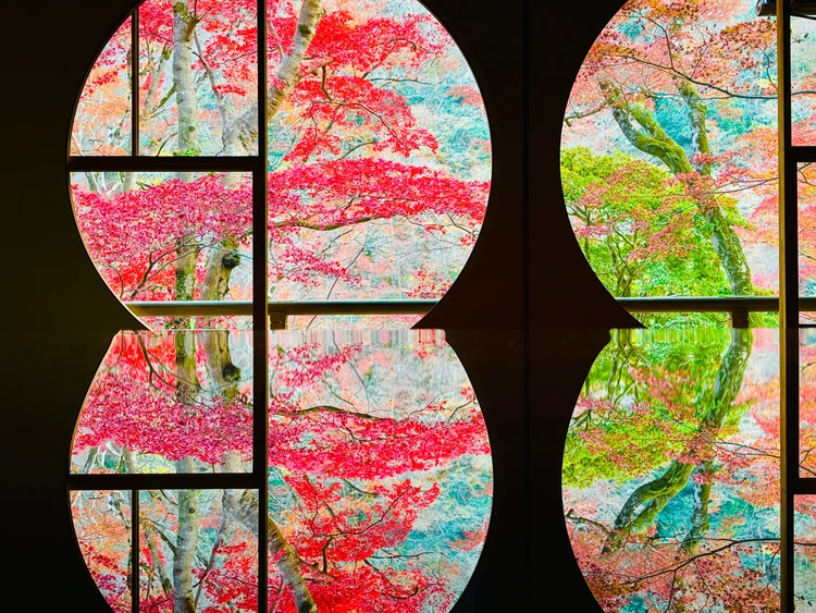 【京都嵐山】嵐山祐斎亭の紅葉