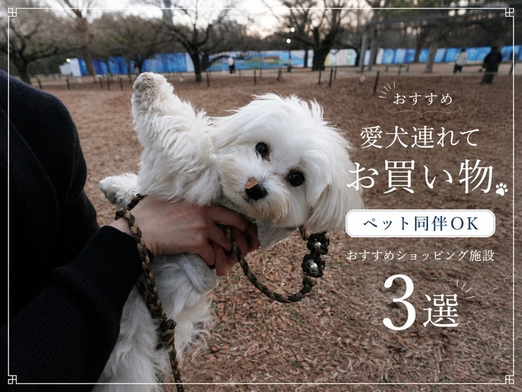 愛犬とお買い物！ペット同伴OKなモール3選🐾_1