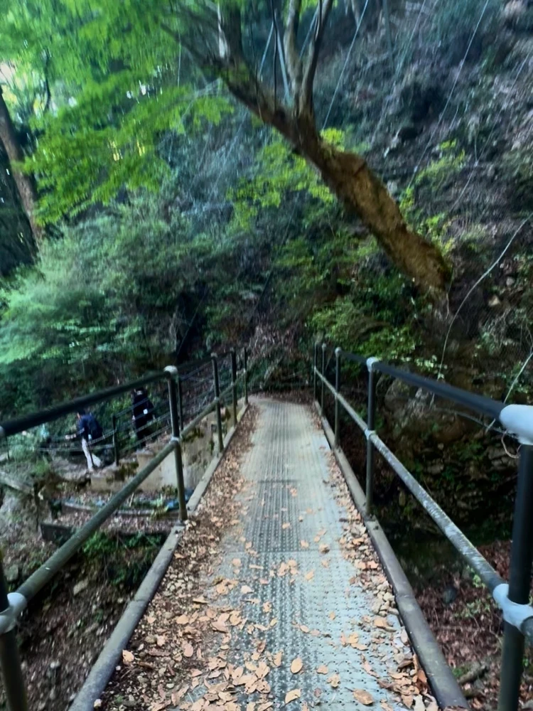大山登山