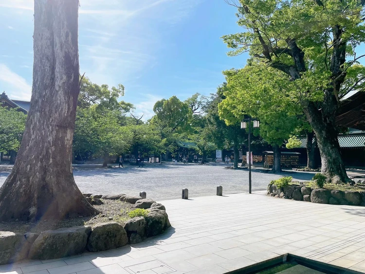 【日帰り旅にもおすすめ】食べると福が訪れる？静岡の三嶋大社の美しい境内で楽しむ名物の縁起餅！_1