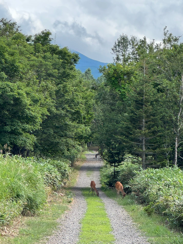 【北海道 道東エリア】網走・知床・弟子屈２泊３日絶景旅②知床半島＆野付半島編_14