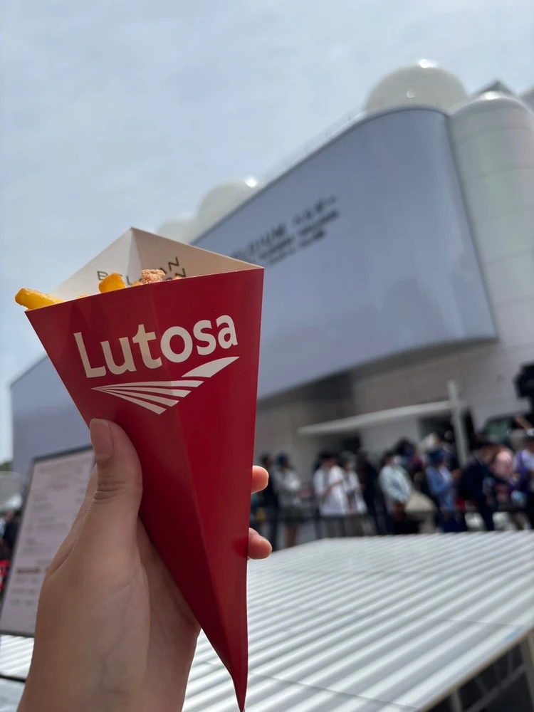 ベルギーのポテト