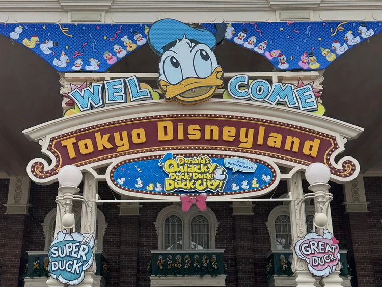 ドナルド パルパルーザ ディズニーランド