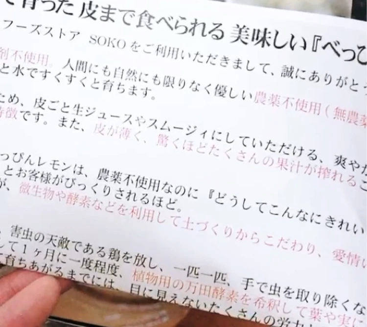 完全無農薬の皮まで食べれるレモンでビタミンを効率良く摂取_3