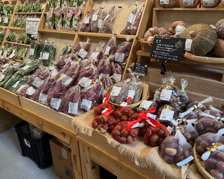 【三重・VISON】東京ドーム24個分の商業リゾート！エリア別食べ歩いたものリスト【グルメ編】_10