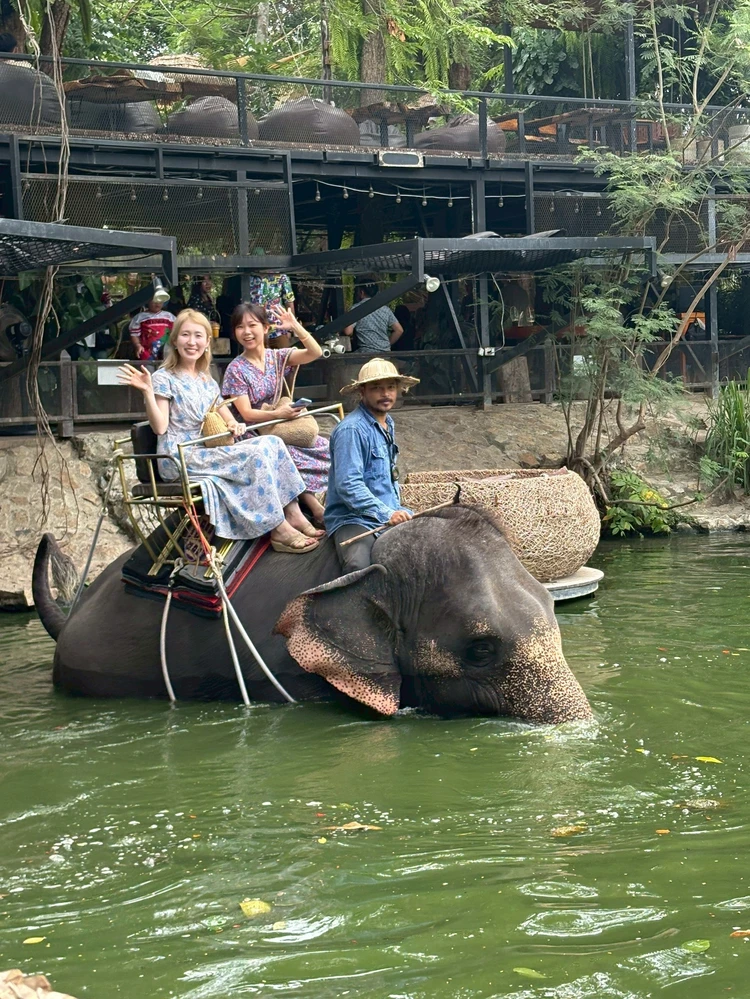 タイ ゾウ 水