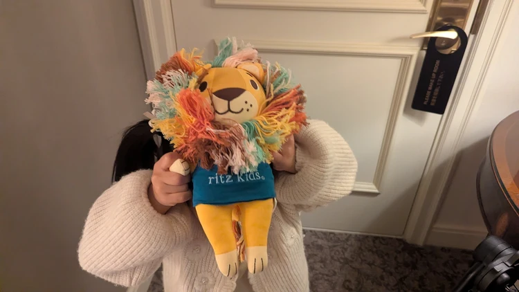 子供が大好きなレオくんのぬいぐるみ