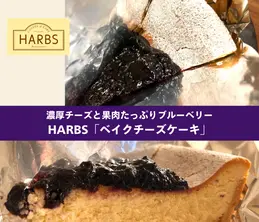 【HARBS】濃厚チーズと果肉たっぷりブルーベリー!期間限定「ベイクチーズケーキ」が絶品すぎる