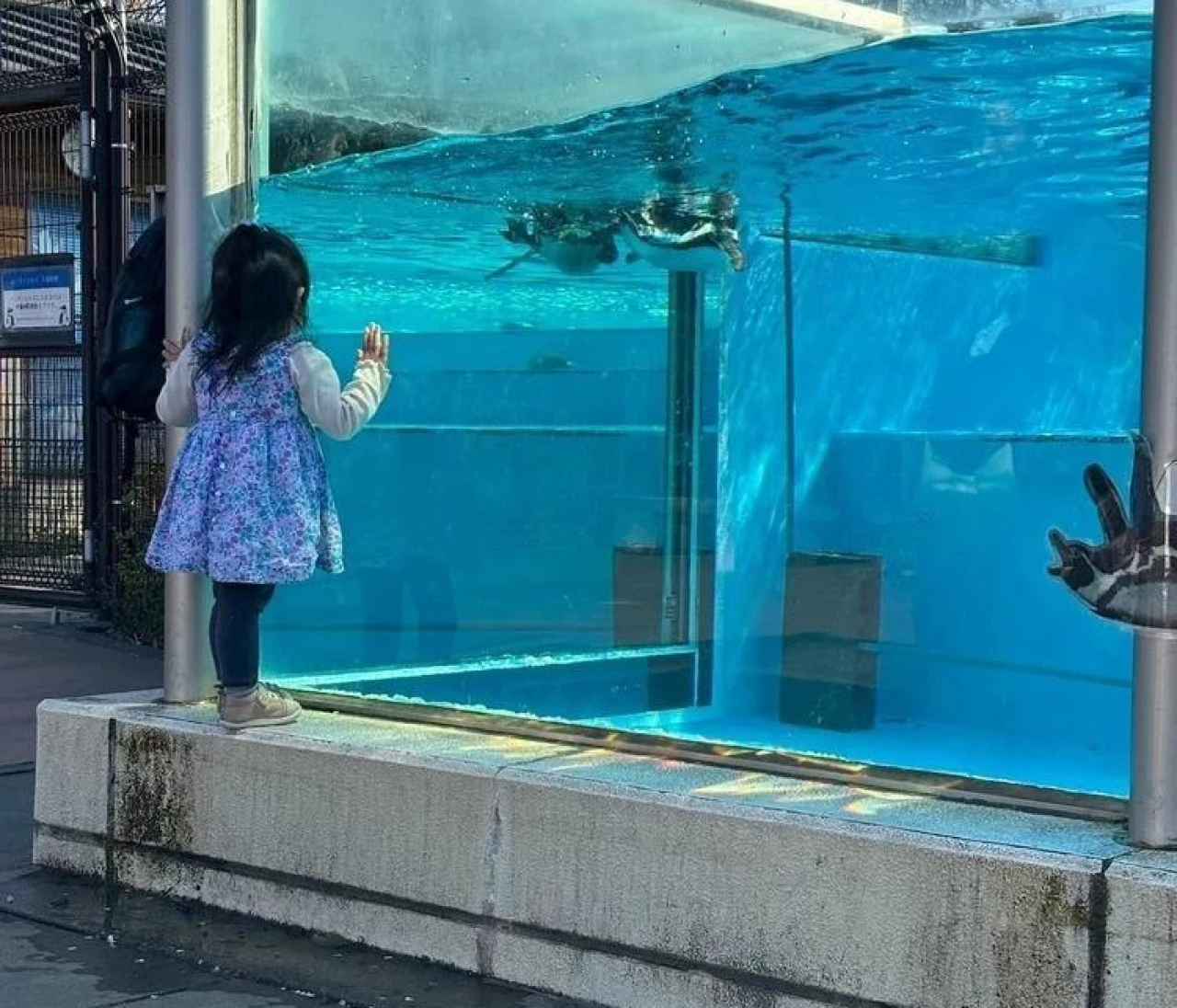 子連れでお出かけスポットまとめ（写真）