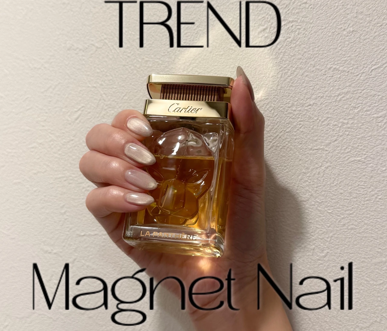 【マグネットネイル】大人のうるツヤネイルは水光マグで♡