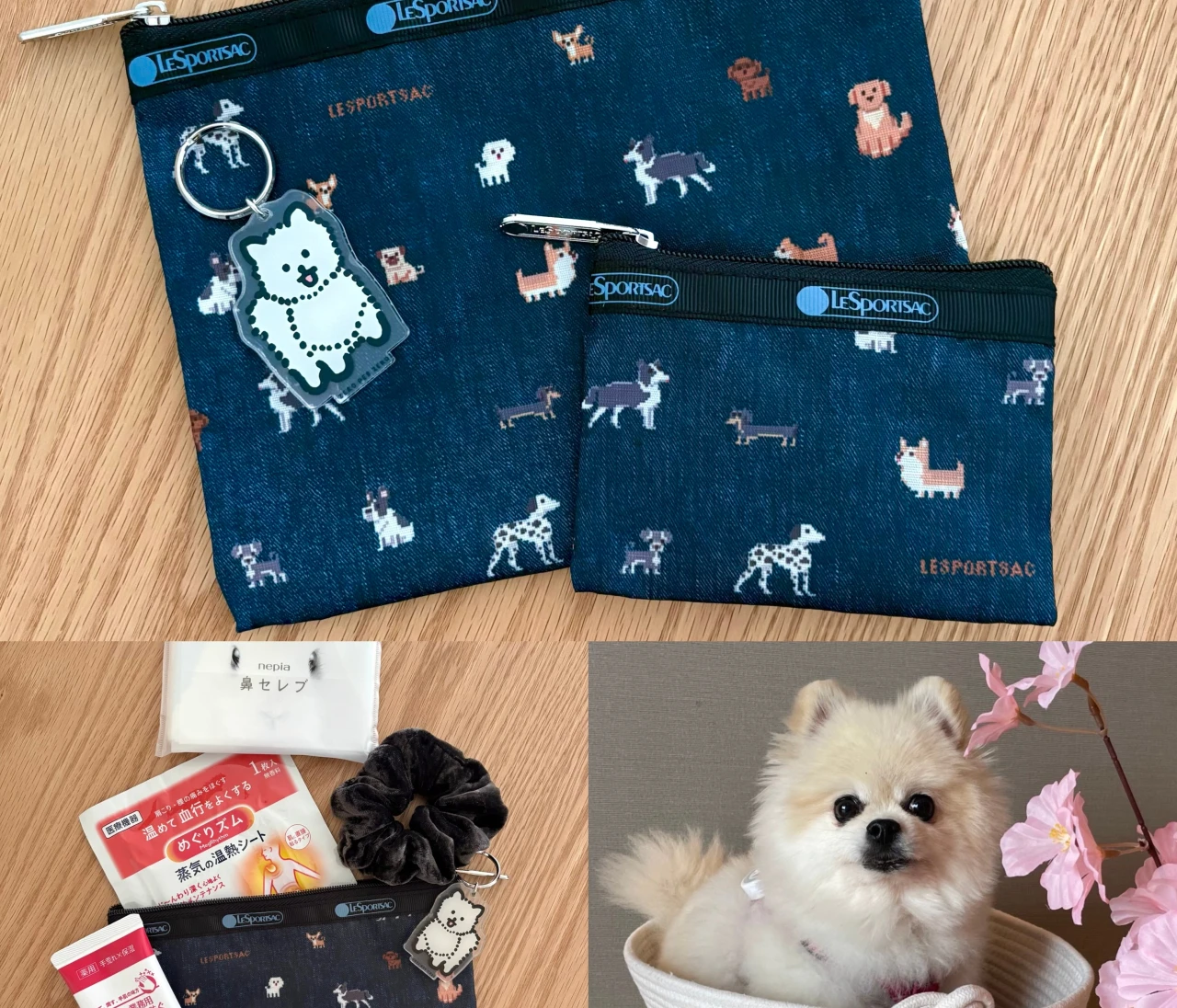 わんこ柄にキュン♡BAILA４月号付録のポーチが日常使いに最適