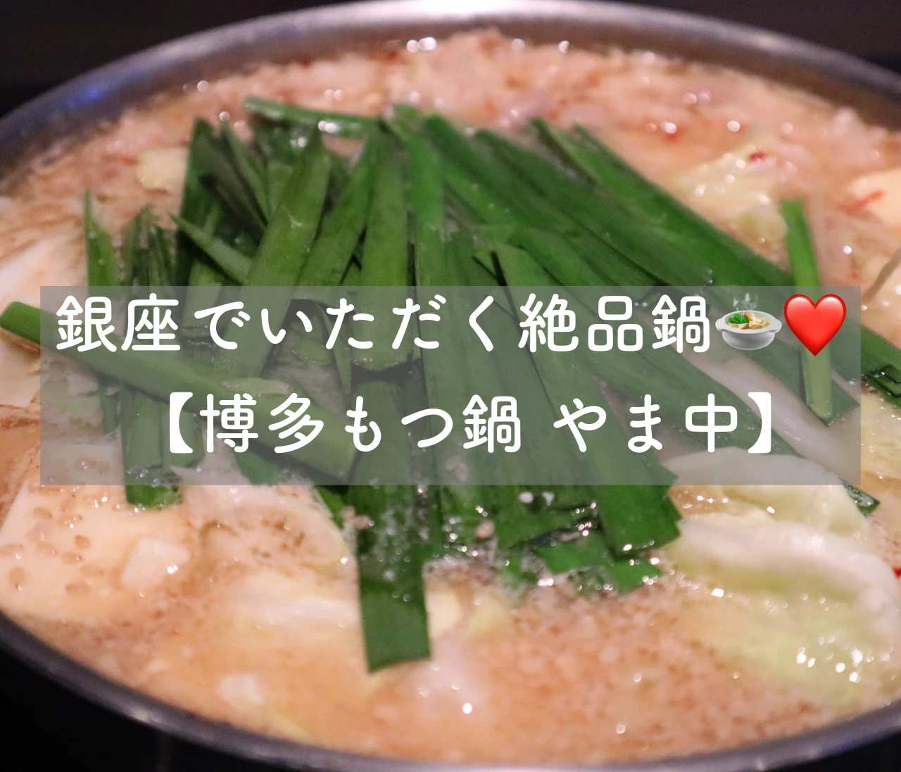 銀座で食べられる絶品鍋ランチ❤️福岡の老舗【博多もつ鍋 やま中】 #グルメ部