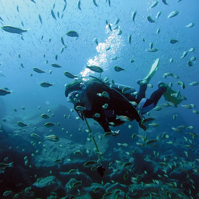 「ふるさと納税」で知らなかった場所への興味がぐんぐんわいてくる！