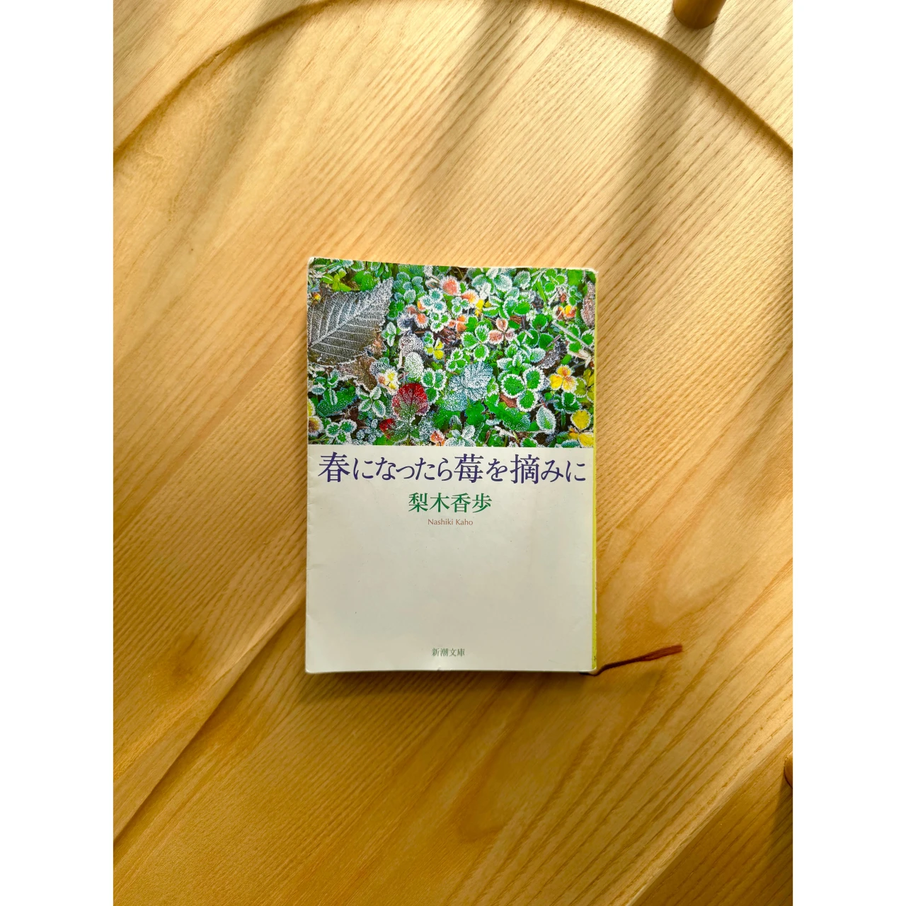 新生活、人間関係に疲れている全ての人に贈るエッセイ 【梨木香歩　春になったら苺を摘みに】 #読書部