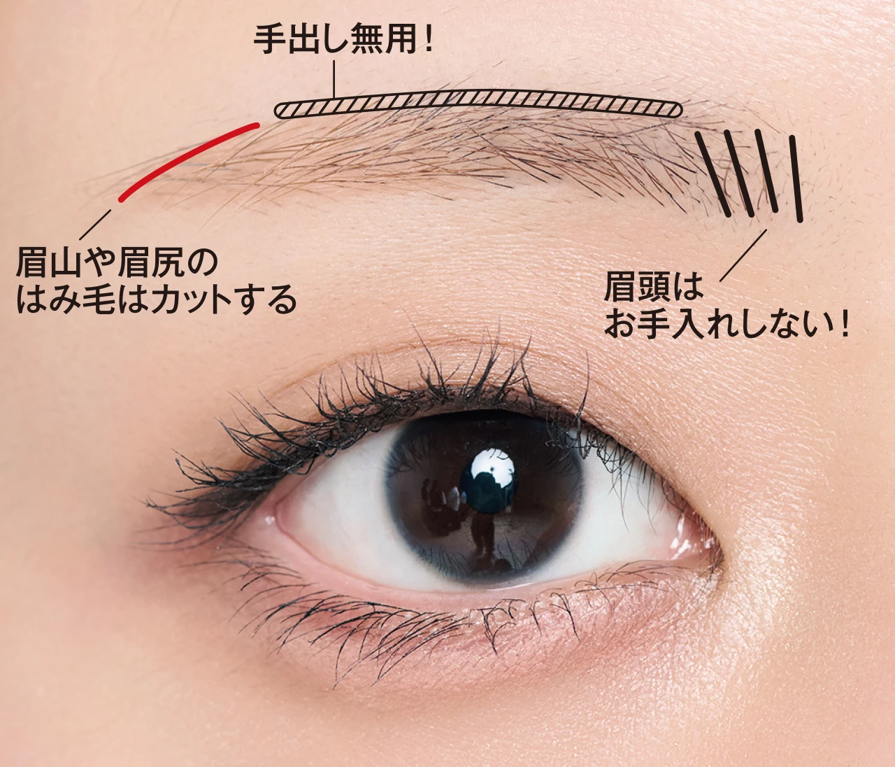 大人の正解眉「薄アーチ眉」はお手入れがカギ！自眉のセルフケア方法をヘア＆メイクが伝授