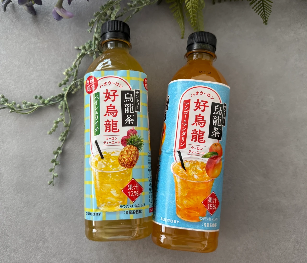 【季節限定】濃厚で後味さっぱりなティーエードに沼る！サントリー好烏龍(ハオウーロン)2種を飲み比べ