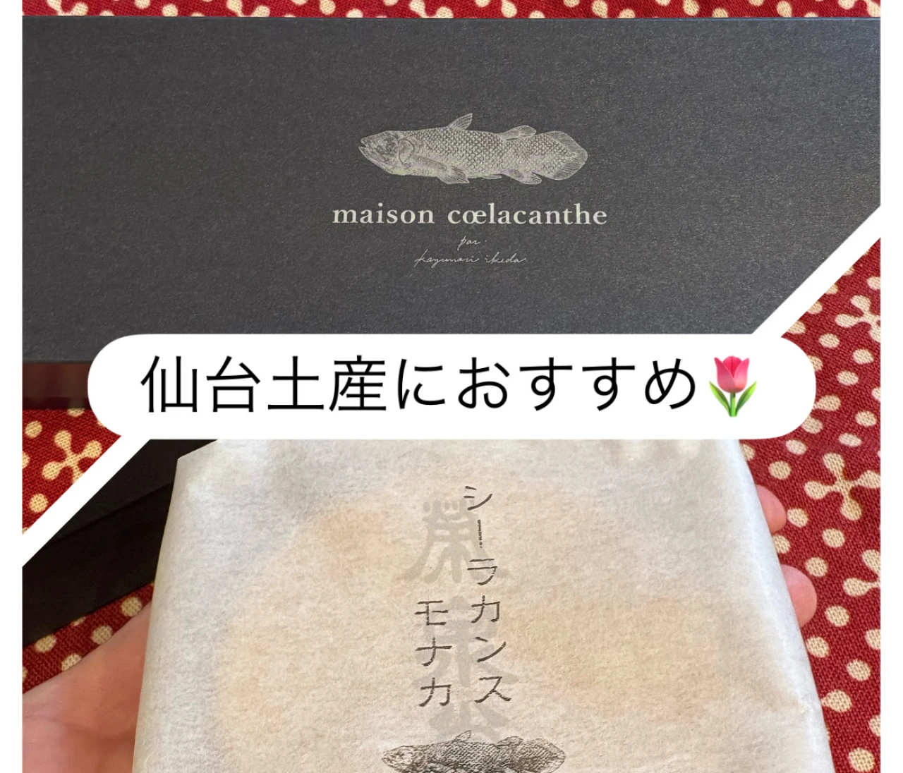 【仙台行くならこれ！】手土産にも自分へのご褒美にもおすすめ！maison cœlacantheのシーラカンスモナカ　実食レビュー