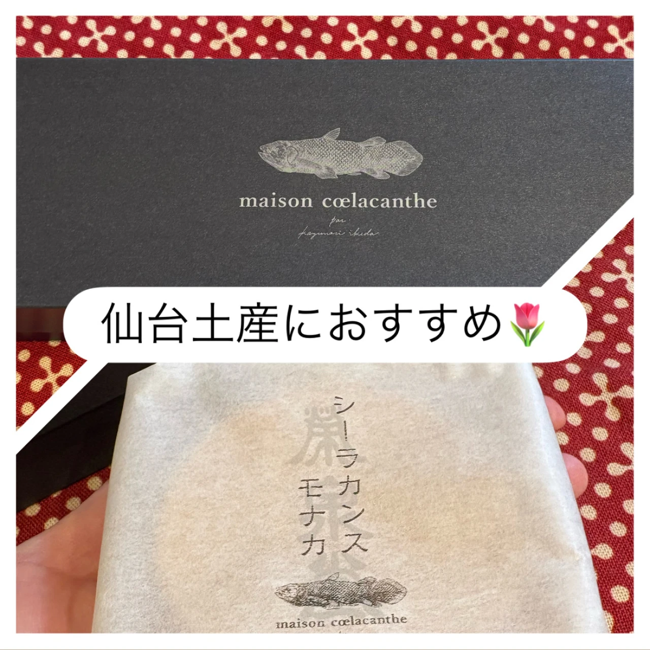 【仙台行くならこれ！】手土産にも自分へのご褒美にもおすすめ！maison cœlacantheのシーラカンスモナカ　実食レビュー