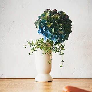 【映える紫陽花】をセンスよく飾って、梅雨は室内での時間を楽しもう