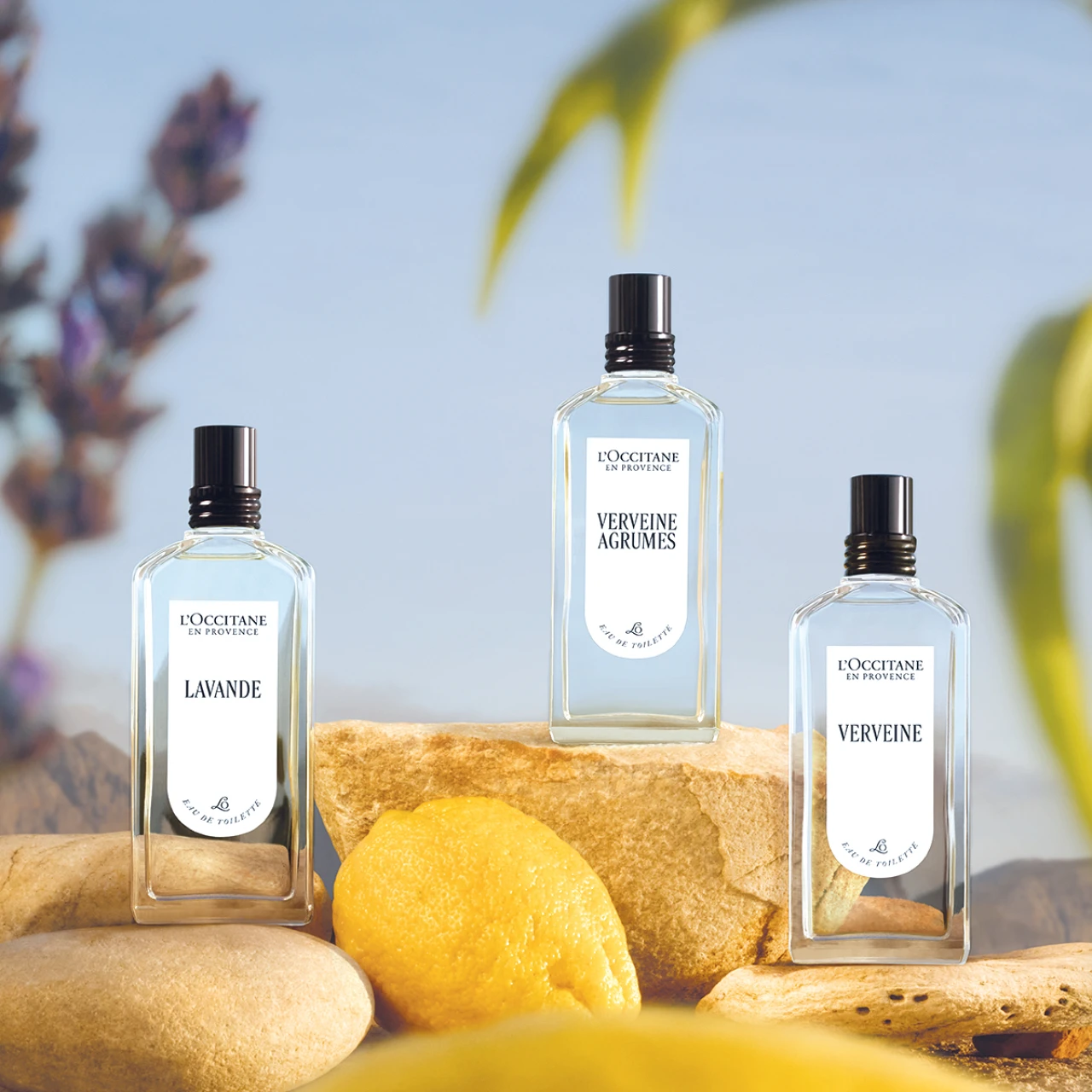 【L’OCCITANE(ロクシタン)】メゾン創設50周年を記念した3つのムードフレグランスが誕生。第三弾は爽快なシトラスヴァーベナの香り「VERVEINE AGRUMES」シリーズ。7月29日に発売!