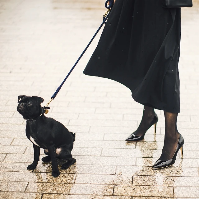 靴&タイツ&靴下のお悩みに答えます♥【タイツ編】