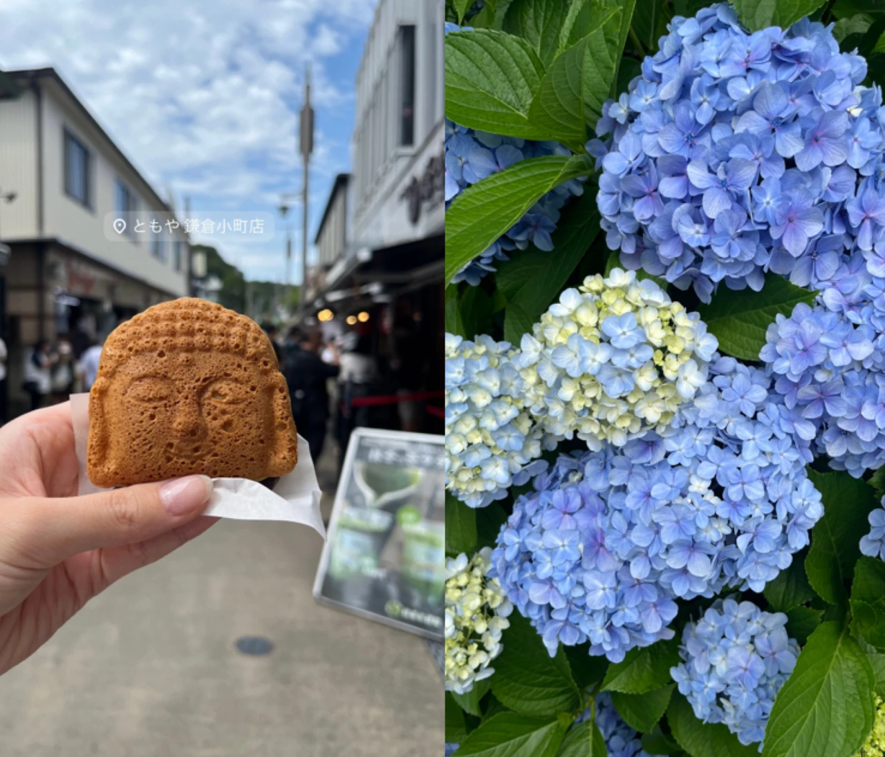 紫陽花を見に鎌倉へ行ってきました！【明月院】【小町通り】【由比ガ浜】