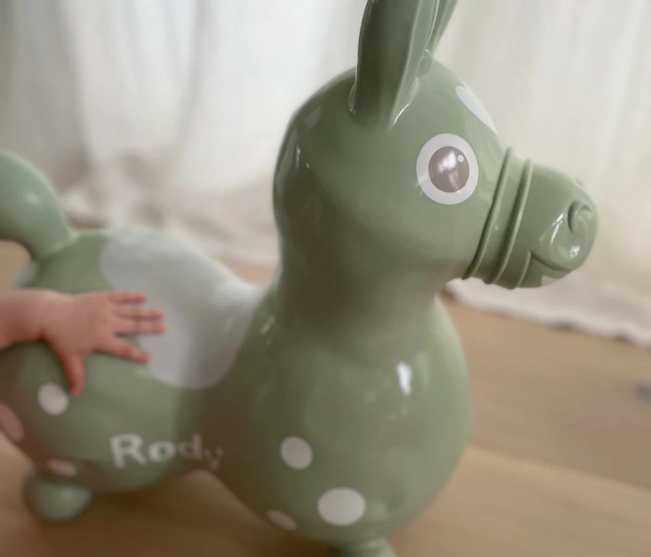 【子どもの玩具】インテリアに馴染むくすみカラーのロディ