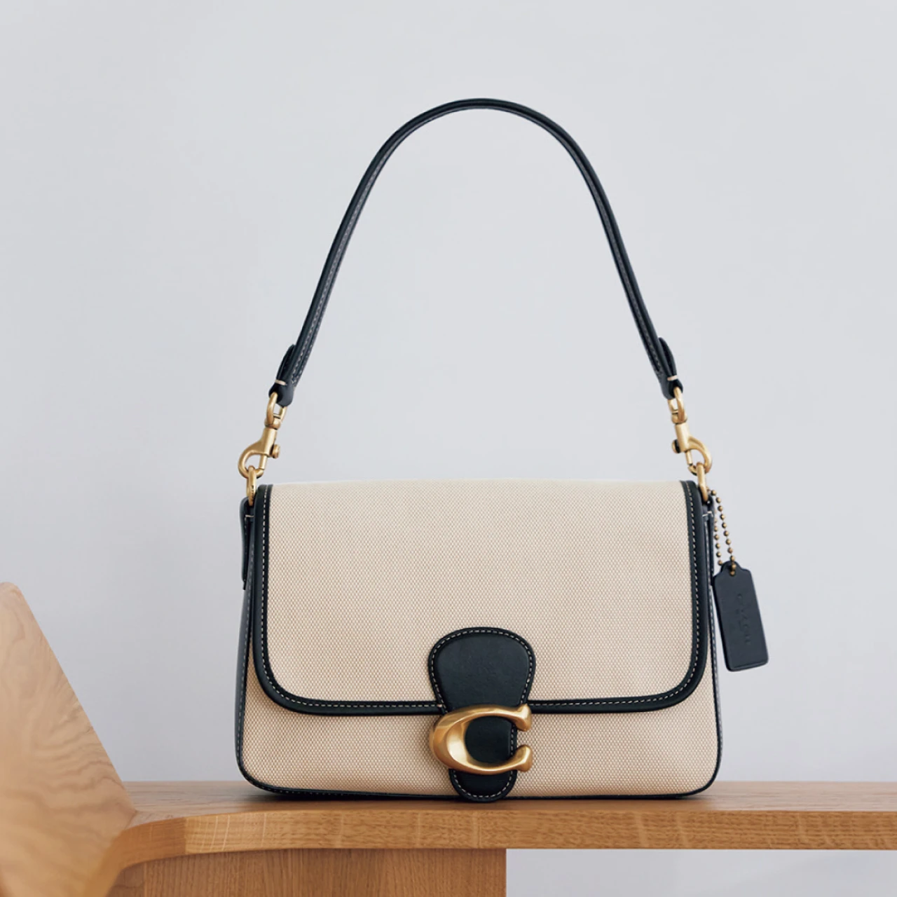 【コーチ】心まで軽やかになるキャンバス地が特徴【ハイブランドの夏バッグ】