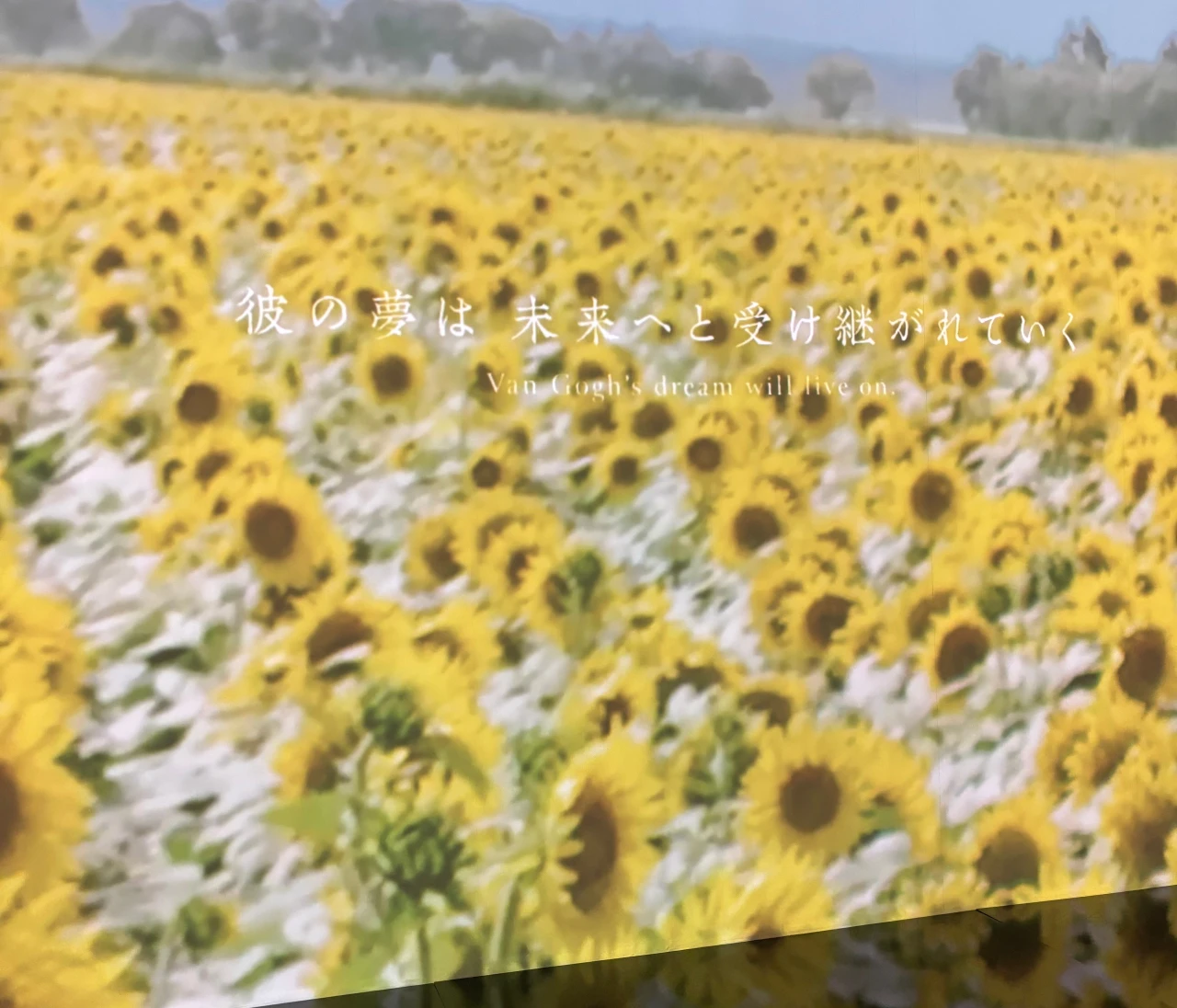 知らなかったゴッホに出会える！今おすすめしたい「ゴッホ展」