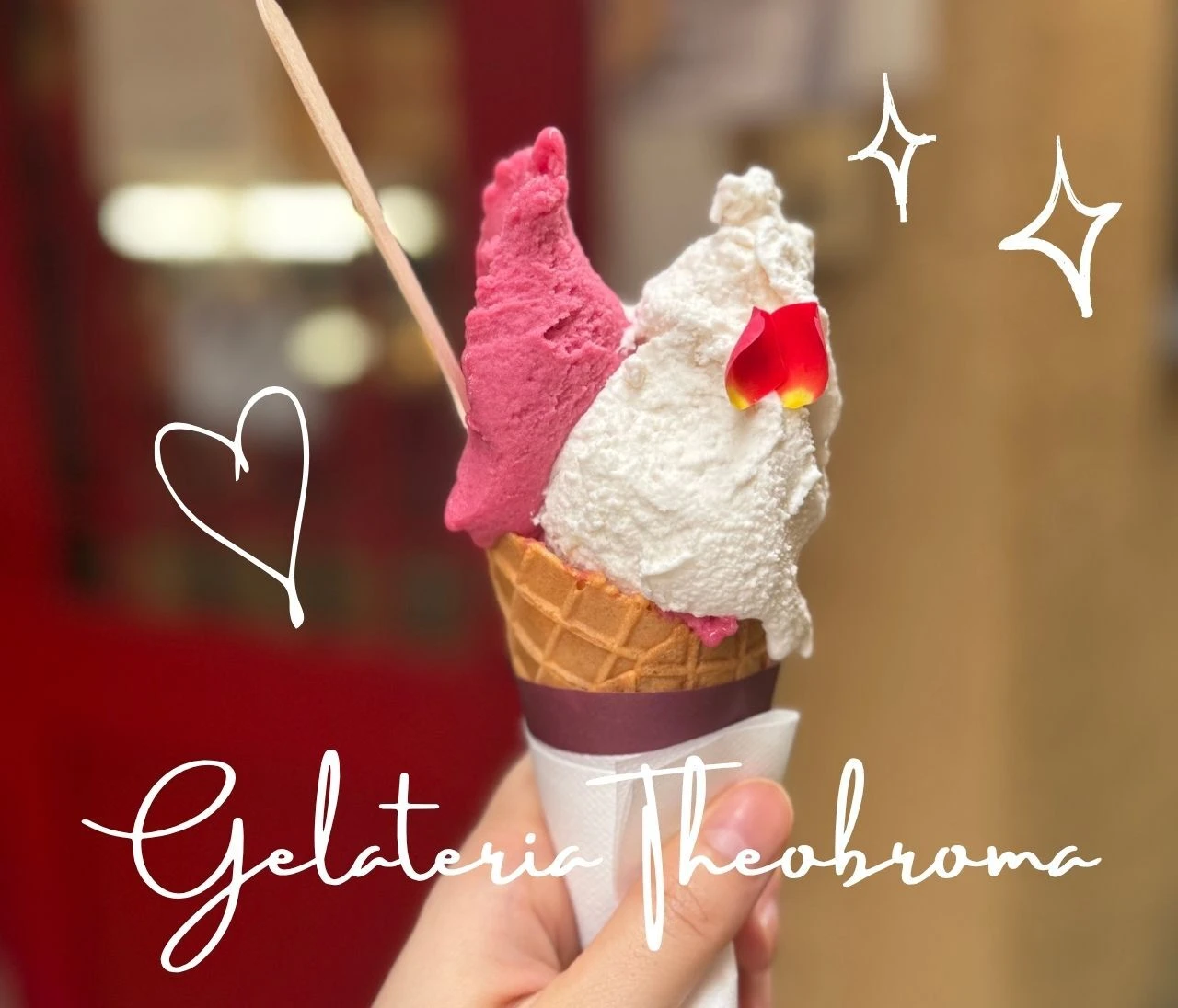 【ジェラテリア テオブロマ】味覚の魔術師が手がける本格ジェラート🍨#BAILAアイス部