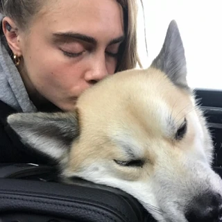 セレブ溺愛! 愛しのペットライフ【わんバカ編①】