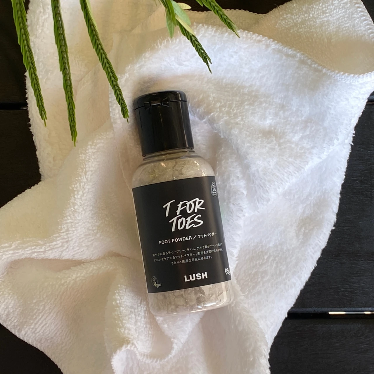 【足のニオイに悩む女性へ】LUSHのデオドラントを使ってみた！