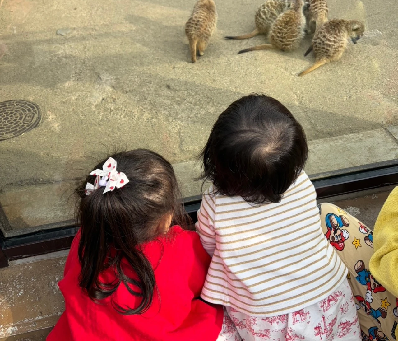 【子連れ完全ガイド】よこはま動物園ズーラシアレポ｜0歳・2歳でも1日楽しめる！広すぎる動物園のリアル体験