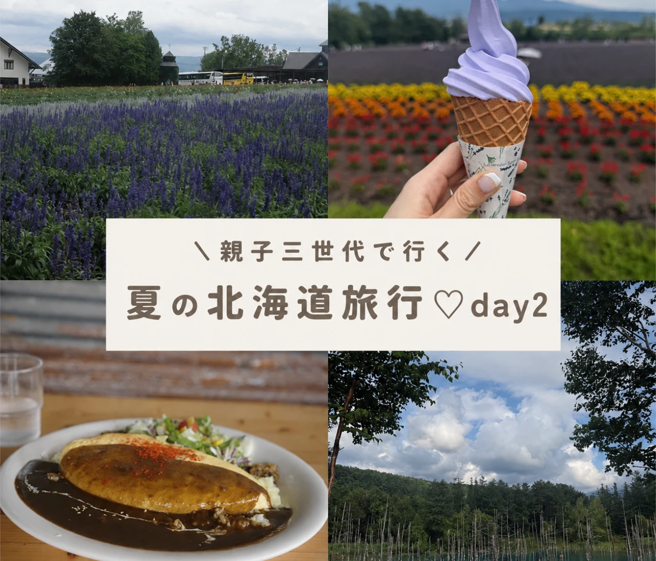 【親子三世代での北海道旅行②】富良野ラベンダー畑、百名店でカレーランチ、美瑛の青い池など