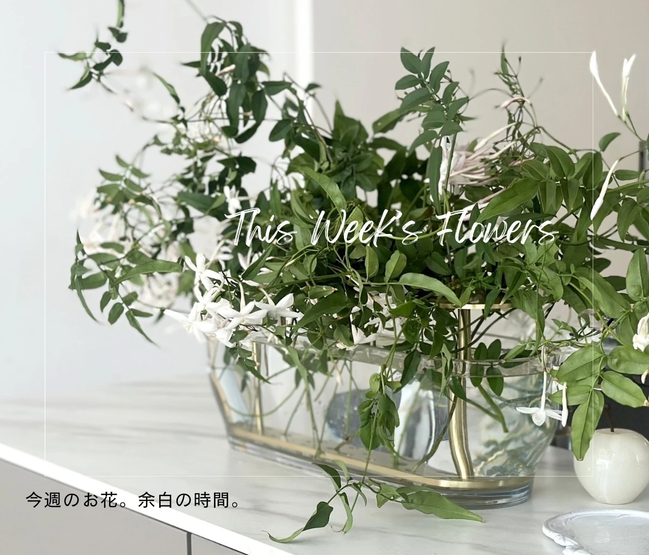 自宅に咲く羽衣ジャスミンをいけてみた日