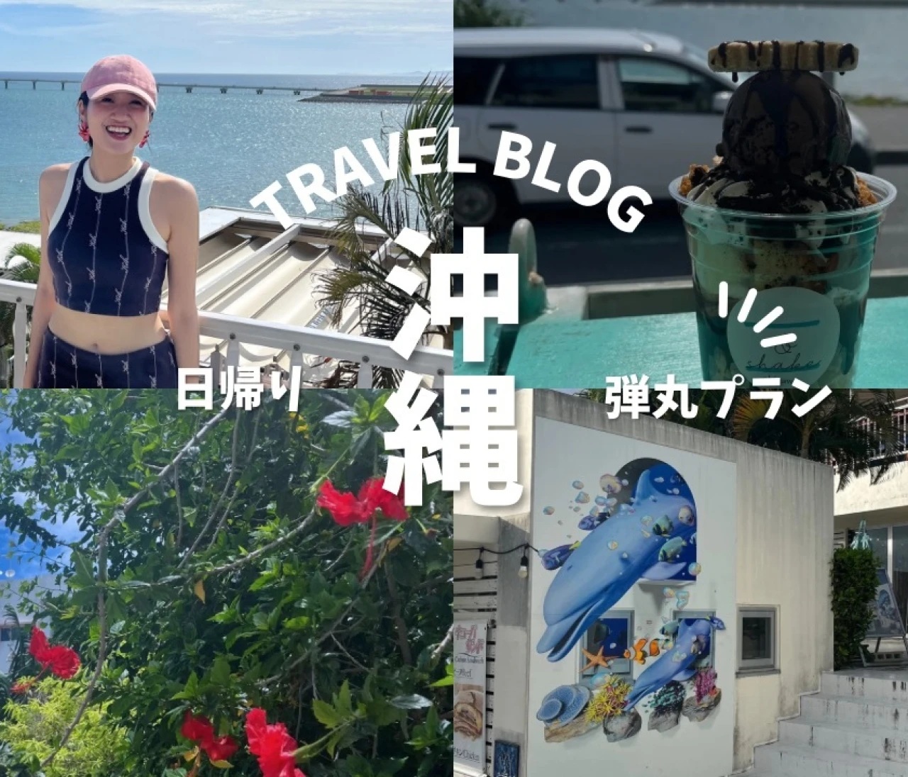 【6月まで】Peach弾丸往復運賃で日帰り沖縄満喫レポ🩷めっちゃチル〜